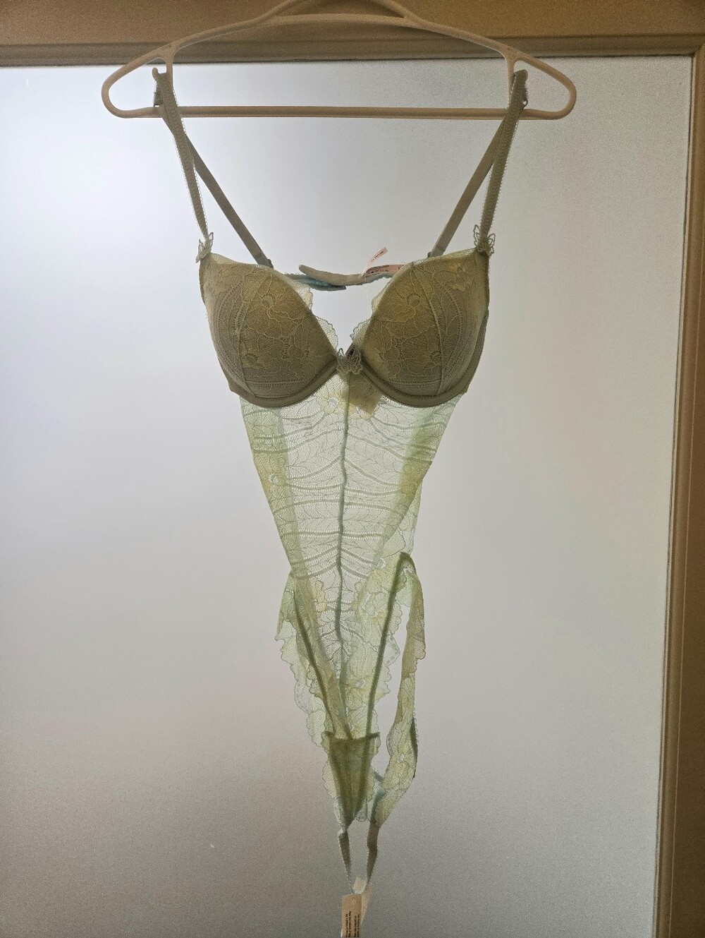 BNWT la Vie en Rose Delicate Lace Sheer Bodysuit - Light Green